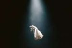 Ariana Grande - Hampstead